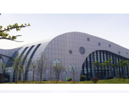 双流县会议中心外景网架工程